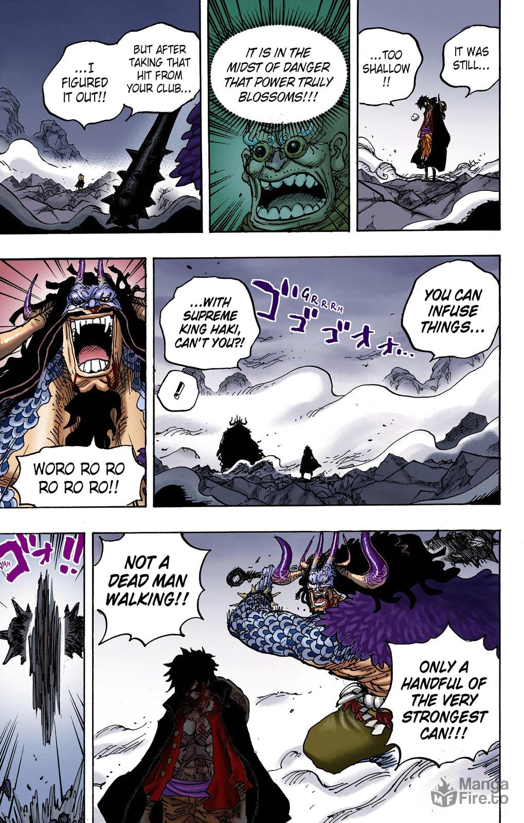 One Piece Digital Colored Chapter 1010 image 12